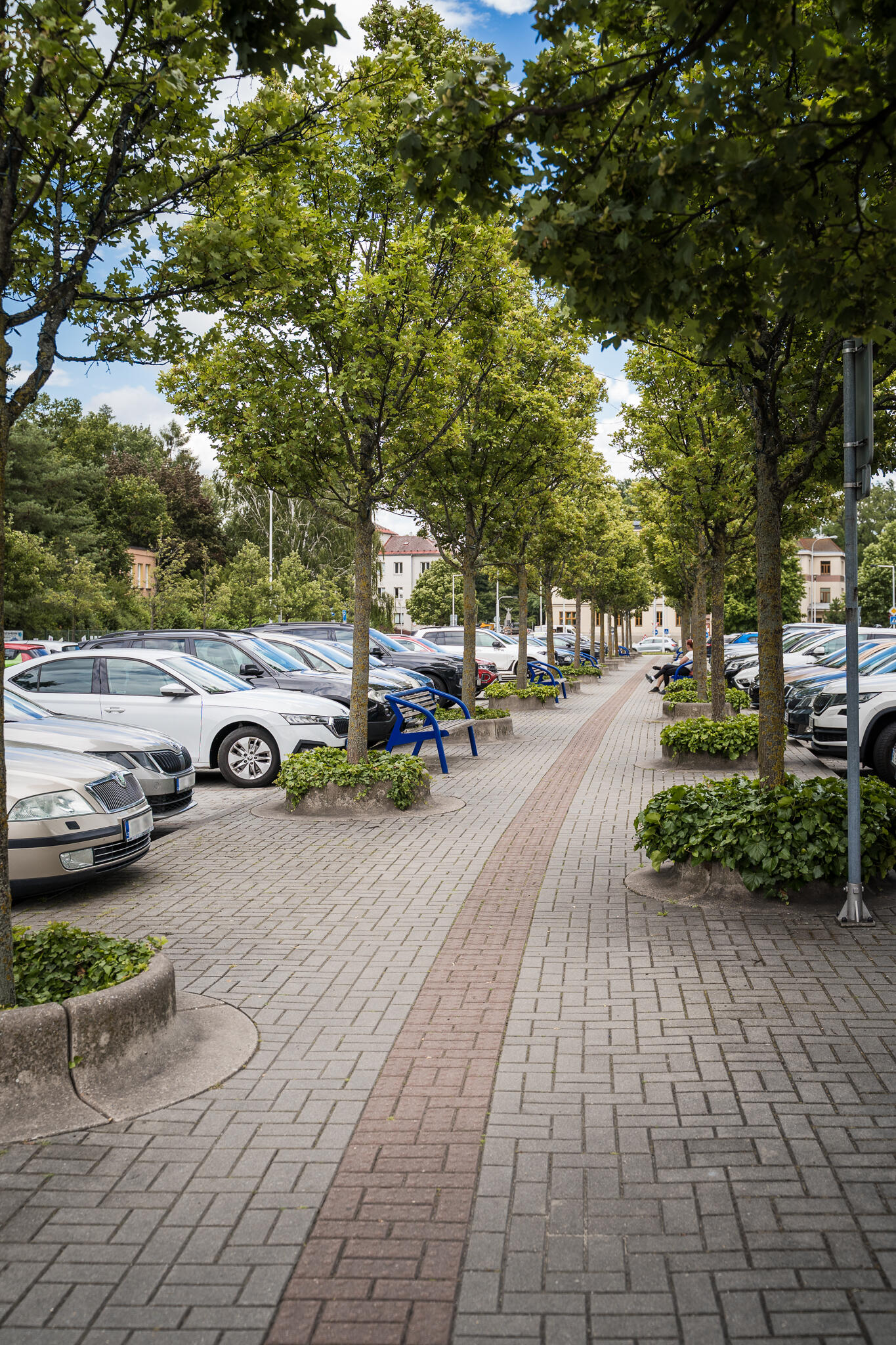 Do you want to make parking in your city more organized?